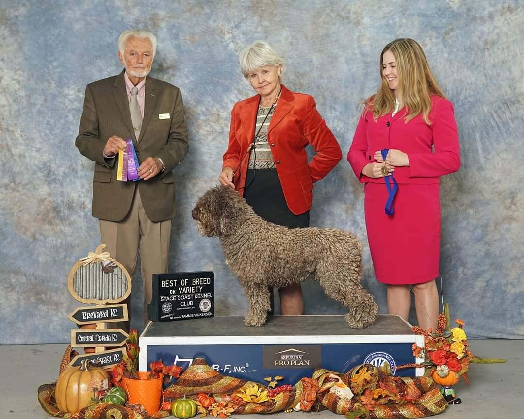 Student and client show dog 3