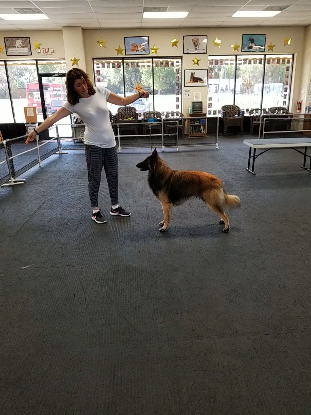 Student and client show dog 19