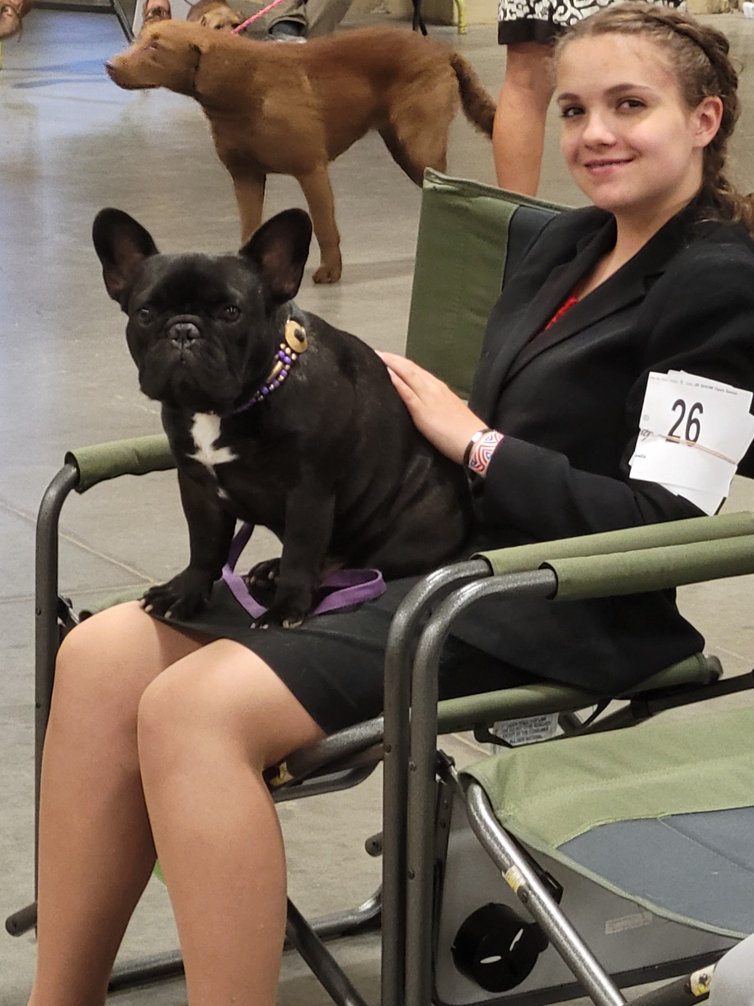Student and client show dog 26