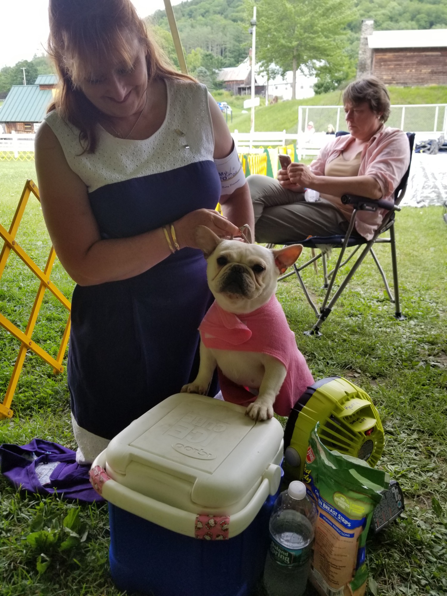 Student and client show dog 18