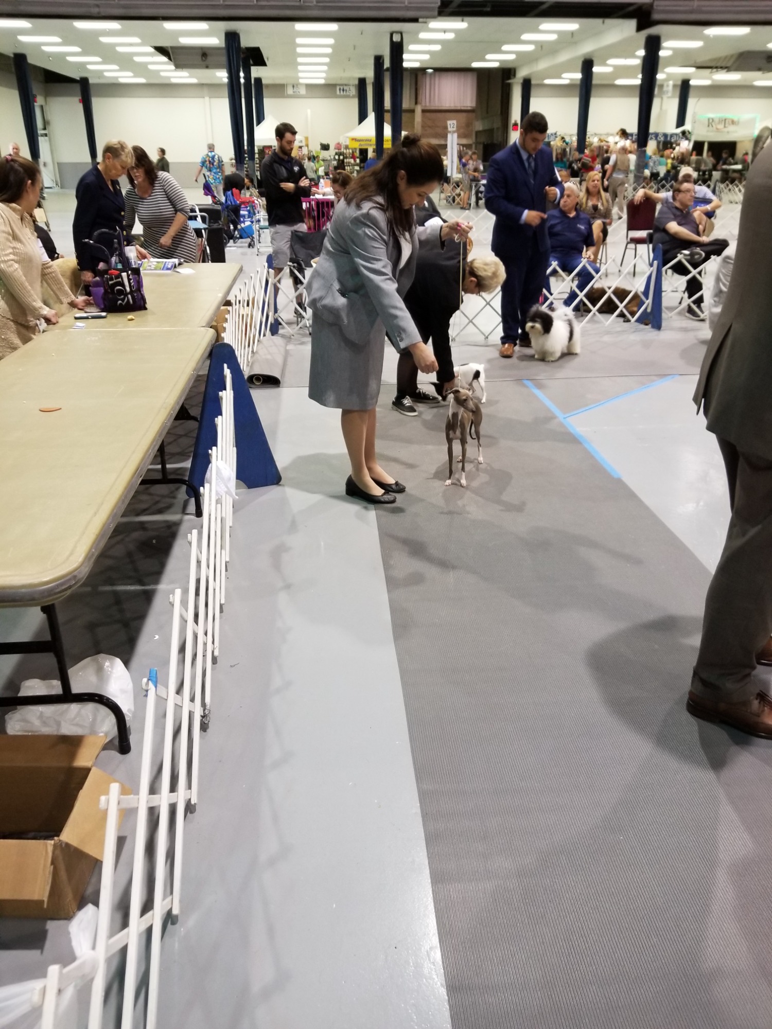Student and client show dog 27