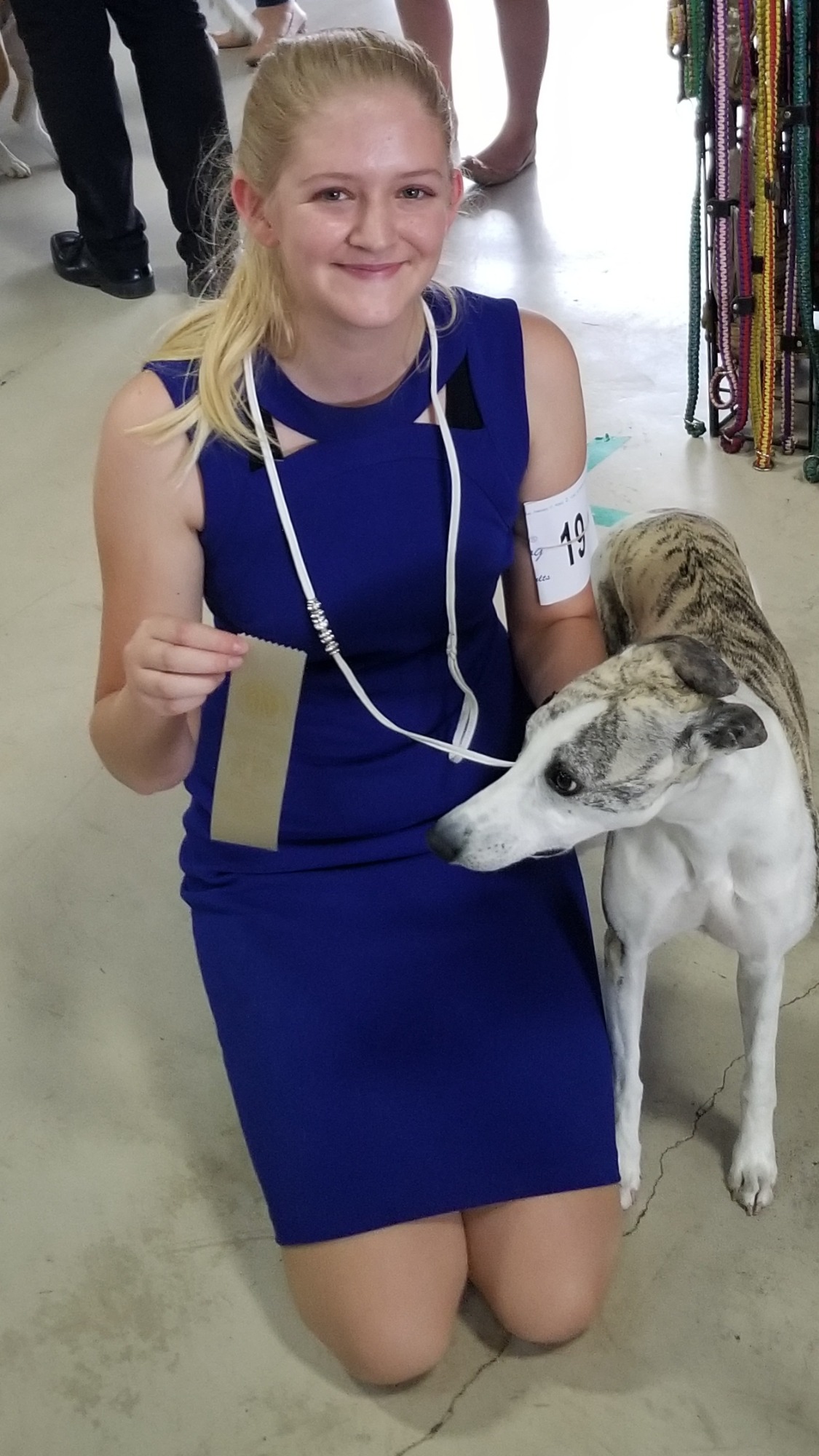 Student and client show dog 17